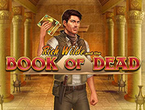 The online slot Book of Dead.